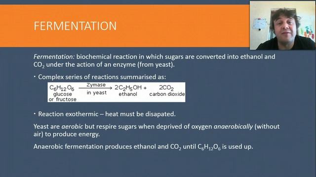Production of Materials L10 Fermentation of ethanol смотреть онлайн
