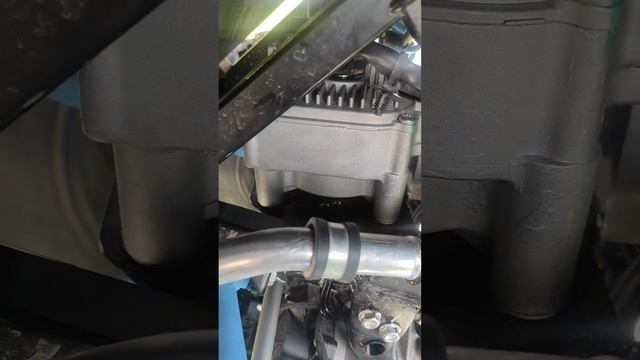 eps segway snarler 600 смотреть онлайн