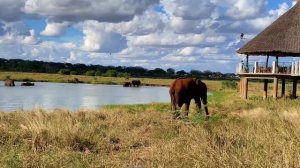Voi WildLife Lodge Review Tsavo ??