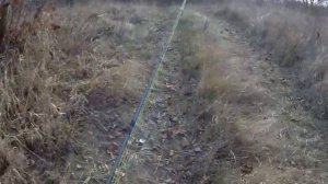 Старый добрый Сейм. Рыбалка на Сейме в ноябре.