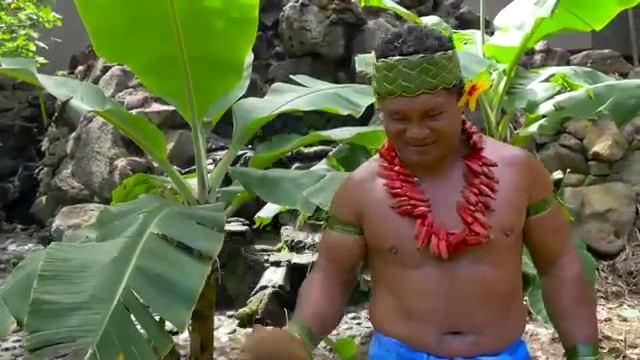 КАК ОЧИСТИТЬ КОКОС смотреть онлайн