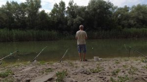 Стародонье .Золотой карась.