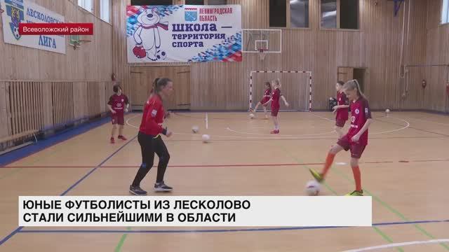 Юные футболисты из Лесколово стали сильнейшими в области