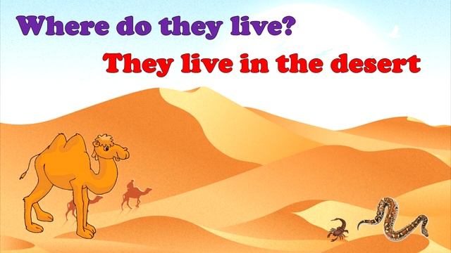 Где живут животные? Где ты живешь? Учимся говорить на английском// #УчуАнглийский