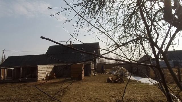 Заготовка дров. Дровокол мне не нужен