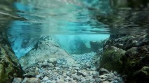 Звуки природы, Подводное течение реки,Плеск воды. Журчание воды, пение птиц для медитации,отдыха,сн