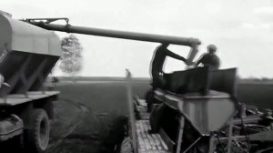 1976 год. Аромашевский район. Уборка зерновых