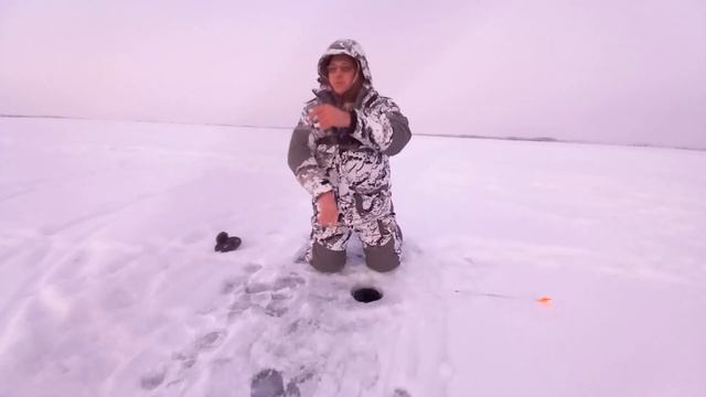 Ловля судака ночью на жерлицы. ИРИКЛА. смотреть онлайн