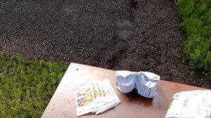 КАКОЙ УКОРЕНИТЕЛЬ ВЫБРАТЬ ДЛЯ ЧЕРЕНКОВАНИЯ ДЕКОРАТИВНЫХ РАСТЕНИЙ КОРНЕВИН ИЛИ РИЗОПОН!