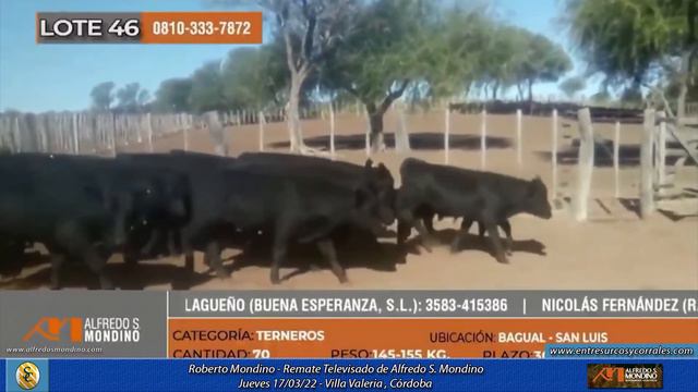 17-03-22 - Roberto Mondino - Remate Televisado de Alfredo S Mondino - Villa Valeria, Córdoba смотреть онлайн