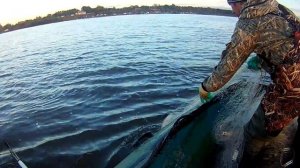 Красная рыба кета рыбалка Амур