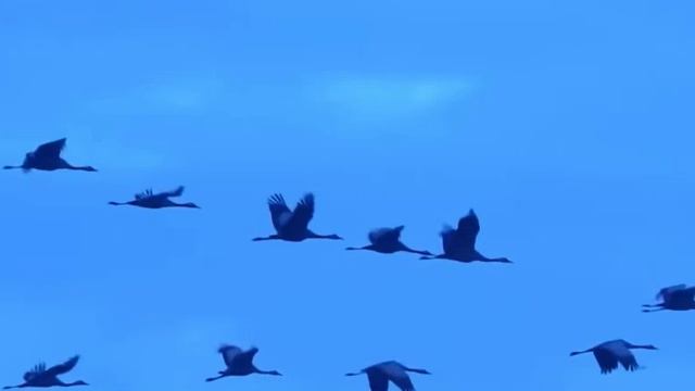 Сваты- за окном был дождь смотреть онлайн