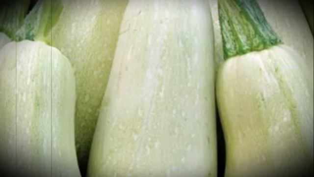 Можно ли домашним кроликам давать кабачки смотреть онлайн