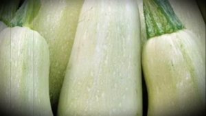 Можно ли домашним кроликам давать кабачки