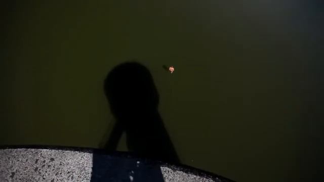 Красивые прыжки в воду с высокой башни смотреть онлайн