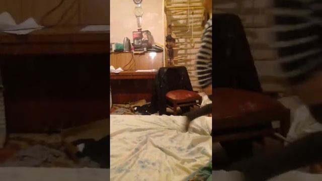 Танец моего брата мы едем в соседнее село на дискотеку смотреть онлайн