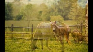 Веселая мелодия для детей без слов. Музыка для малышей