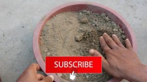 Rose Plantation | Best Soil Mixture for Rose Plant | Perfect Potting Soil for Rose Plant | Red Rose