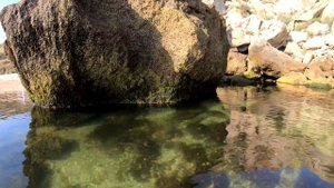 Охота на ската хвостокола, Крым, азовское побережье, июль 2019 год. Подводная охота скат:)