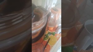 "Выжал томатный сок! Обзор шнековой соковыжималки Kitfort KT-1104".