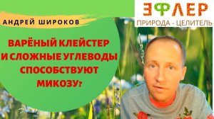 ГРИБКИ и ГЕНЕРАЛИЗОВАННЫЙ МИКОЗ от СЛАДКИХ ФРУКТОВ. Что Усиливает Процесс БРОЖЕНИЯ? Варёный клейстер