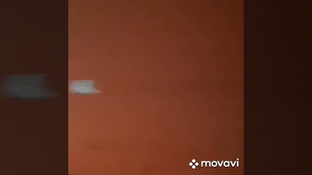 Содержание и выращивания перепелов в сибири