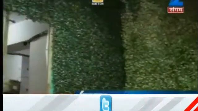 Make your house green and beautiful смотреть онлайн