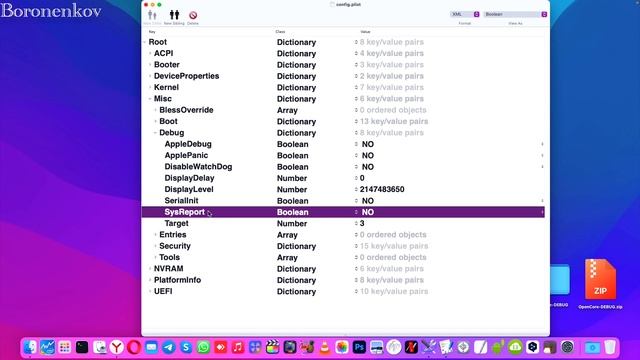 КАК СНЯТЬ DSDT.AML ЧЕРЕЗ ЗАГРУЗЧИК OPENCORE ?! HACKINTOSH - ALEXEY BORONENKOV смотреть онлайн