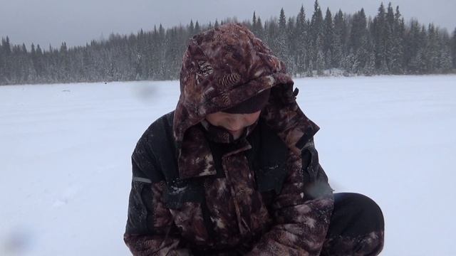 дорога на озеро. в избушку. зима 30 11 19 г смотреть онлайн