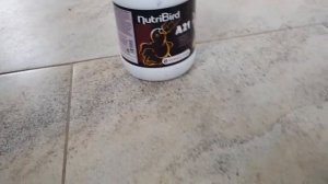 выкормила голубенка