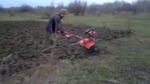Мотоблок фрезой на целине.