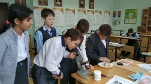 Лабораторная работа "Строение мукора" биология 5 класс.