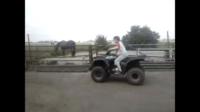Yamaha Grizzly 300