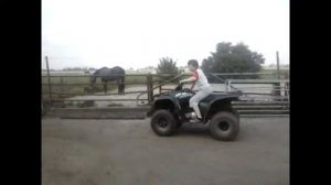Yamaha grizzly 300