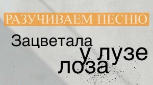 Разучиваем песню «Зацветала у лузе лоза»