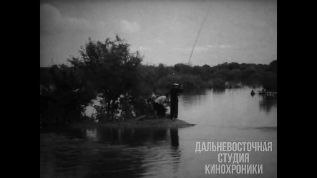 Озеро- место отдыха жителей Благовещенска 1963 г смотреть онлайн