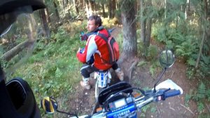 YAMAHA TTR 250 RAID Эндуро прохват