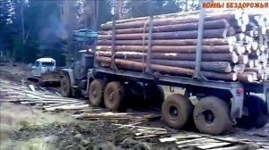 Гусеничный трактор тащит фуру с прицепом в лесу.