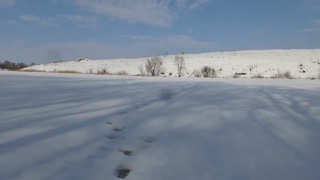 Рыбалка Зима 2017 24.02.2017 2-й пруд в с.Солохи Белгородской области смотреть онлайн