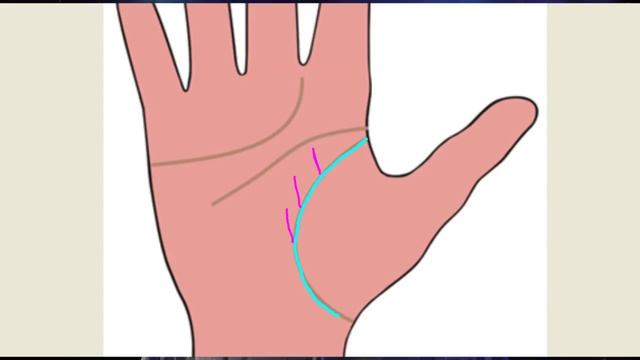 Хиромантия. Линия жизни и знаки на ней. смотреть онлайн