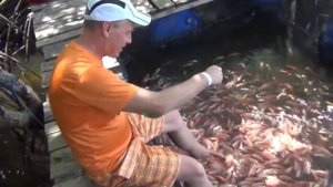 Шри Ланка.Речное сафари #4.Рыбный пиллинг.#SriLanka