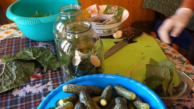 Самый простой и надежный способ засолки хрустящих ОГУРЦОВ (71 05.07.16) смотреть онлайн