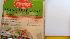 IMG 2959 пожелтение листьев у пеларгонии как лечить