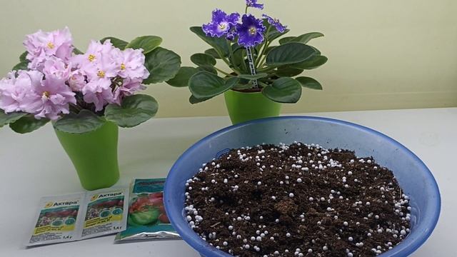Правильный состав субстрата для фиалок!!! смотреть онлайн