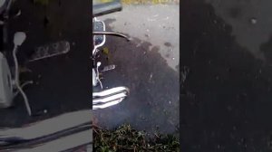 Небольшой обзор мопеда орион 50В 125сс.