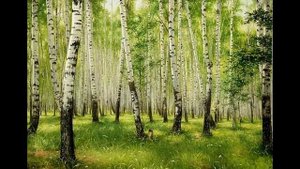 Вы шумите, шумите надо мною, берёзы,..(Музыка: Э.Ханок)