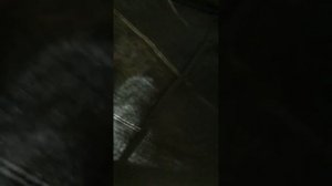 Кемер.покупки Вайкики.цены.погода