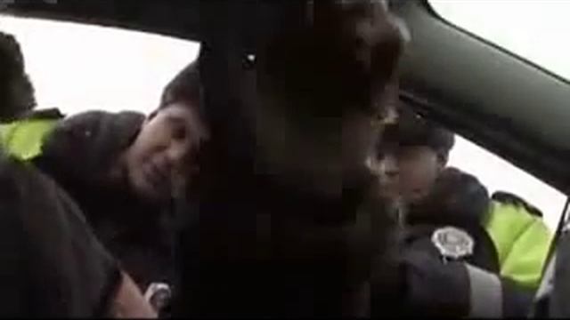 51 КАК НАДО РАЗГОВАРИВАТЬ С ГАИШНИКАМИ 1 СЕРИЯ смотреть онлайн