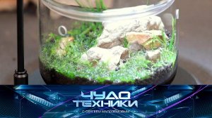 Необычные растения для дома, медицинские манекены и тест экономичного обогревателя | «Чудо техники»