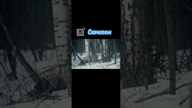 Сериал: Самогон с 2023 года смотреть онлайн